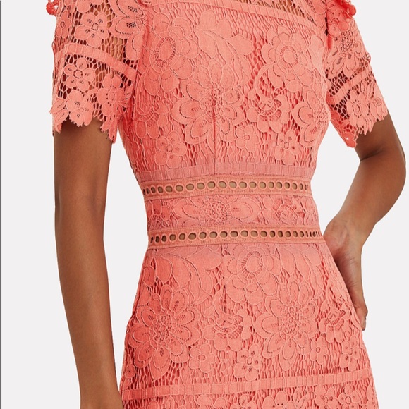 Saylor Sigourney Dress, size small.  NWT. - Picture 4 of 4